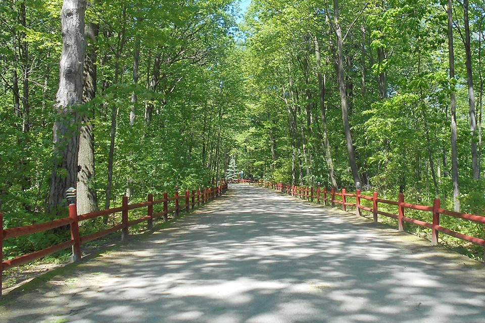 biking