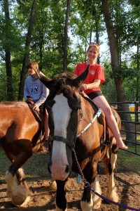 Members riding Clydesdale horses